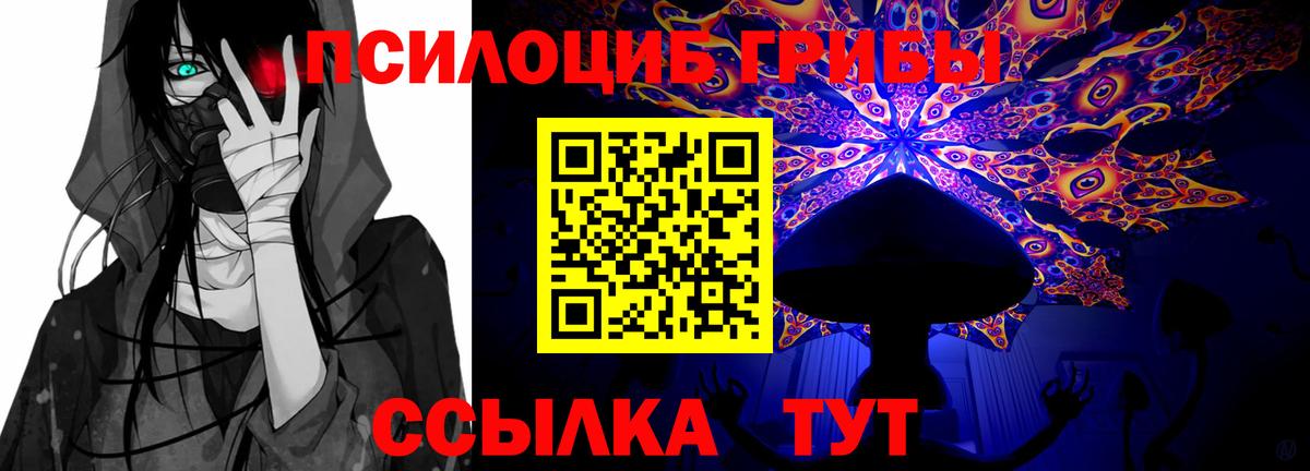 Галлюциногенные грибы Magic Shrooms Камень-на-Оби