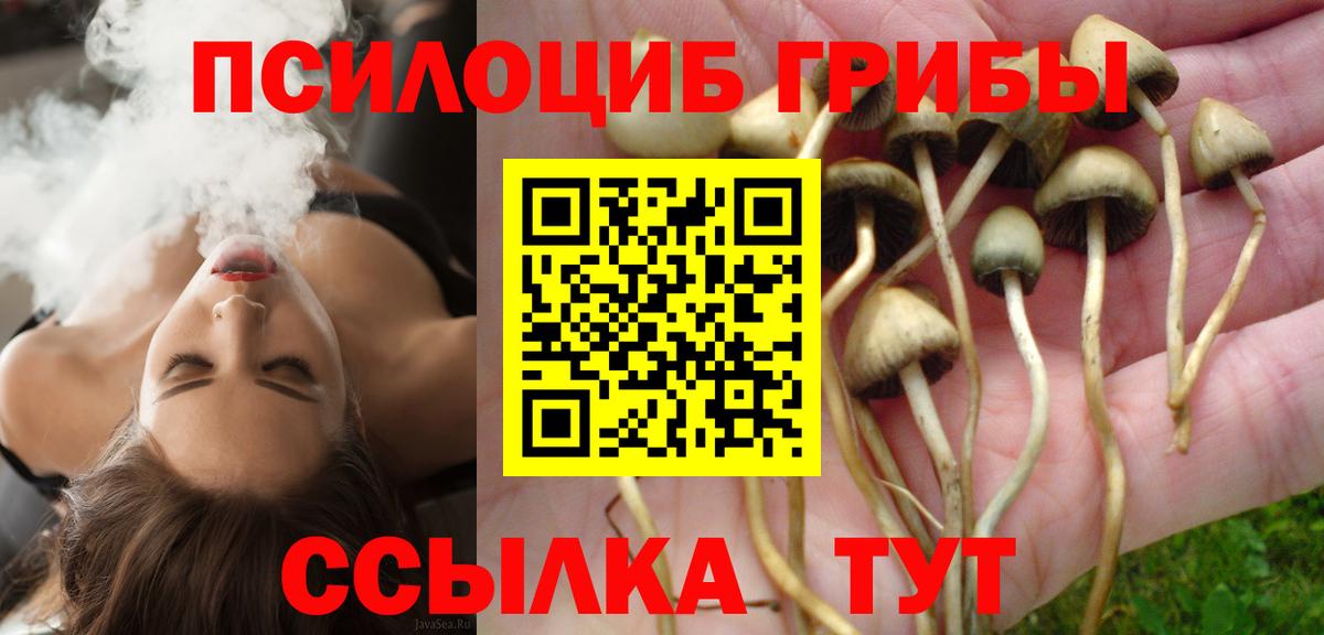 сколько стоит  Псилоцибиновые грибы GOLDEN TEACHER  Вход с VPN  Камень-на-Оби 
